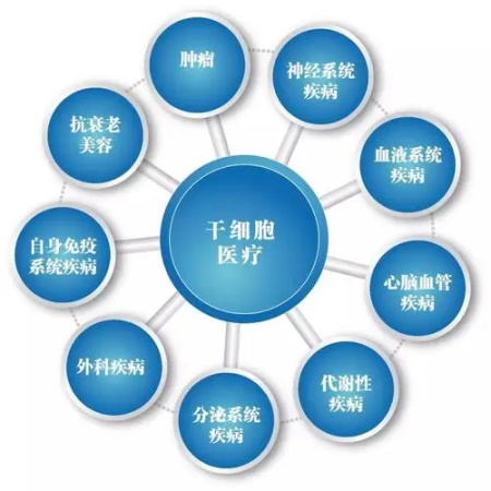 干細胞(1).jpg 干細胞(1).jpg